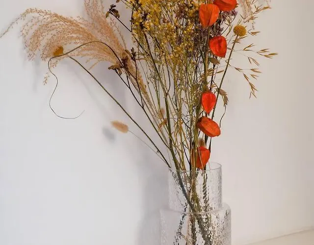 Accommodatie bij particulieren Riverbridge - Historic Center Canal District